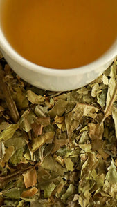 Guayusa